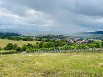 22-09-10 17-35-39 1959